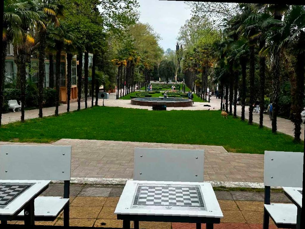 Шахматная гостиная на новом месте в парке «Ривьера»