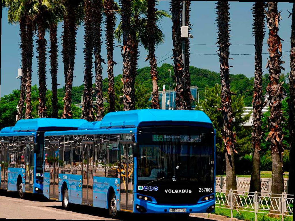 В ночь на Пасху в Сириусе будут курсировать дополнительные автобусы