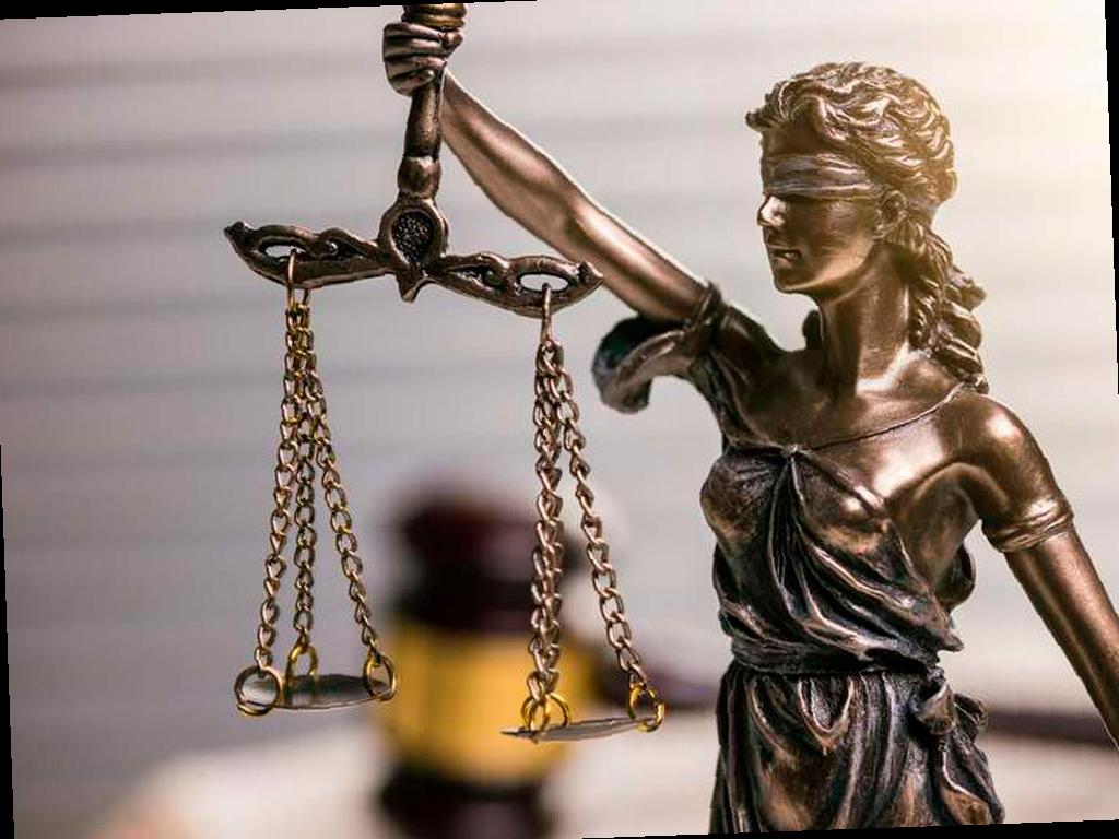 Хозяину собак, атаковавших ребенка в Сочи, вынесли приговор