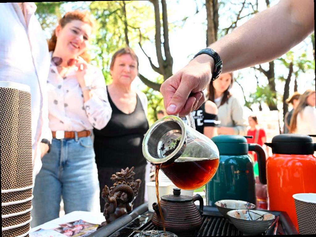 В Сочи открылся фестиваль «Чайный путь»