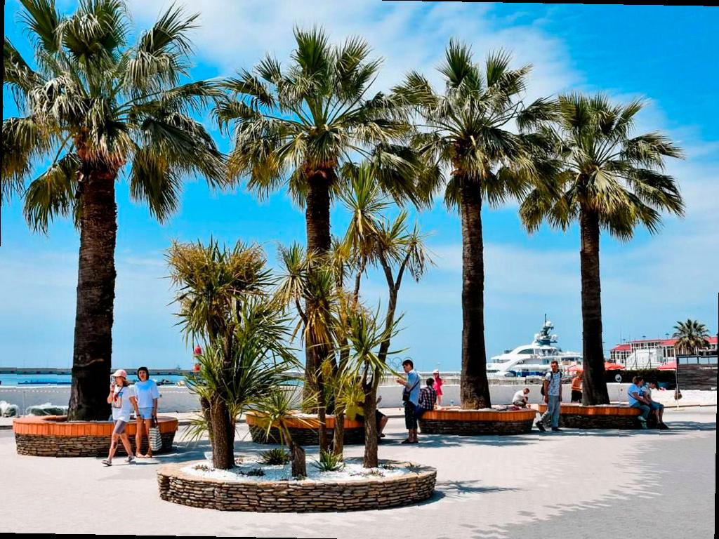 Почти 80% номеров уже забронированы в Сочи на июньские праздники