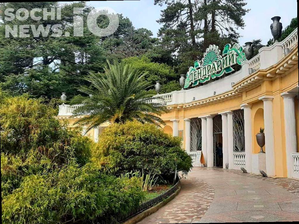 Опасность химикатов на ягодах и плодах в «Дендрарии»