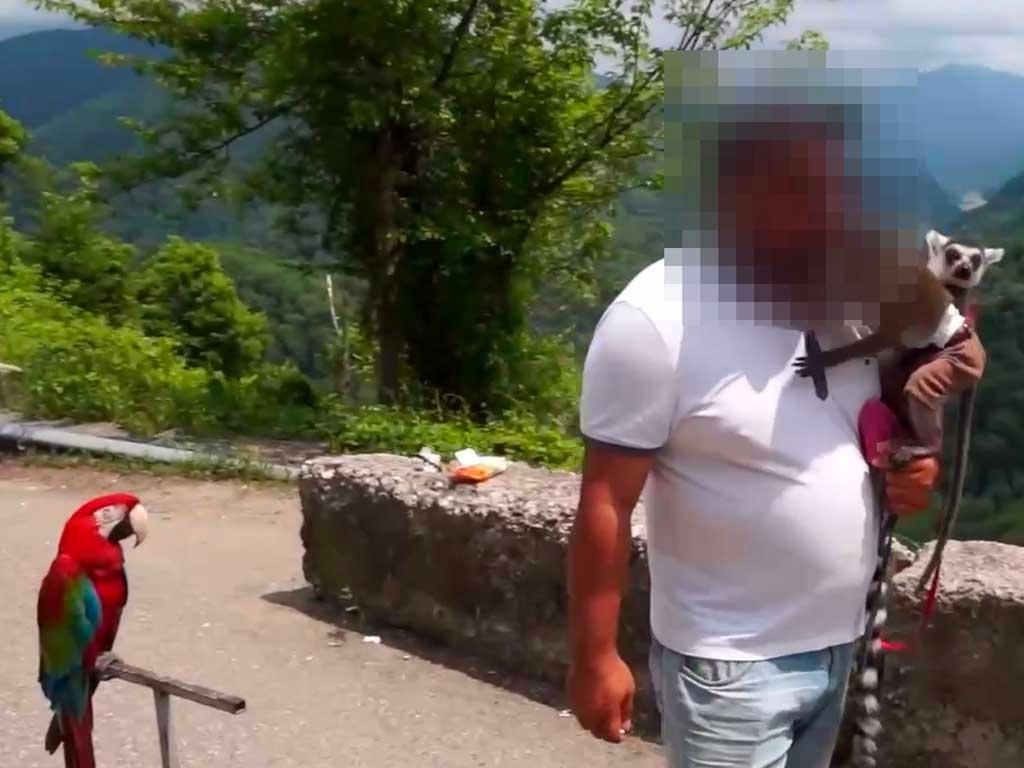 В Сочи у фотографов изъяли целый зоопарк после нарушения законодательства