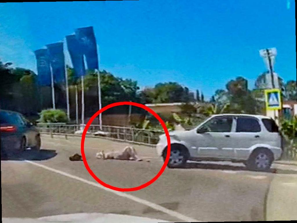 В Адлере на улице Ленина произошло ДТП с пешеходом