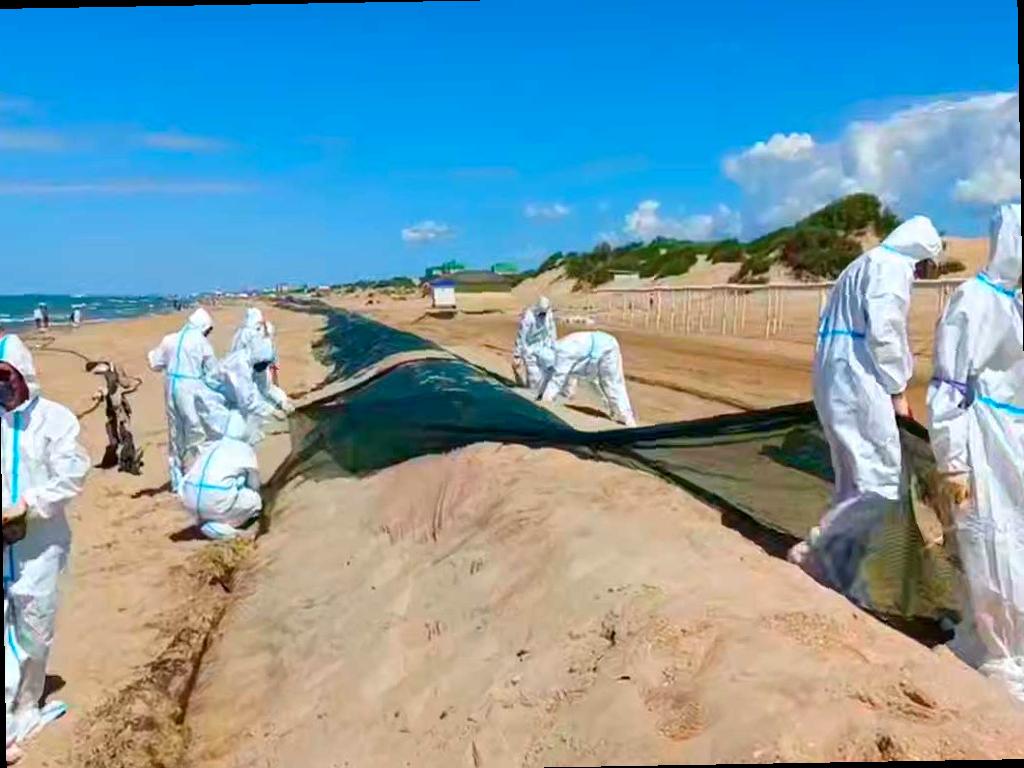 На пляжах Анапы начали демонтировать защитный вал