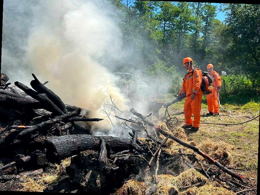 Ограничение на пребывание в лесах продлено на Кубани до конца июля