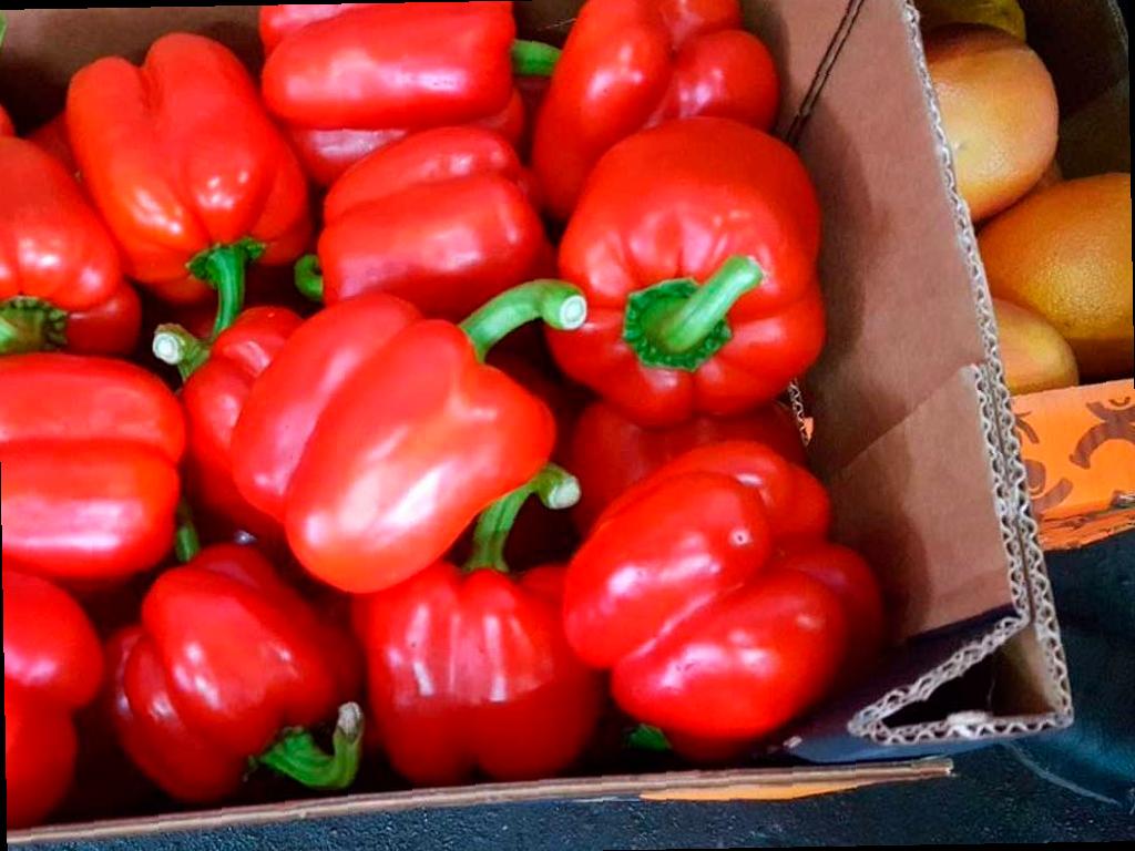 На Кубани было обнаружено более 5 тонн зараженных овощей