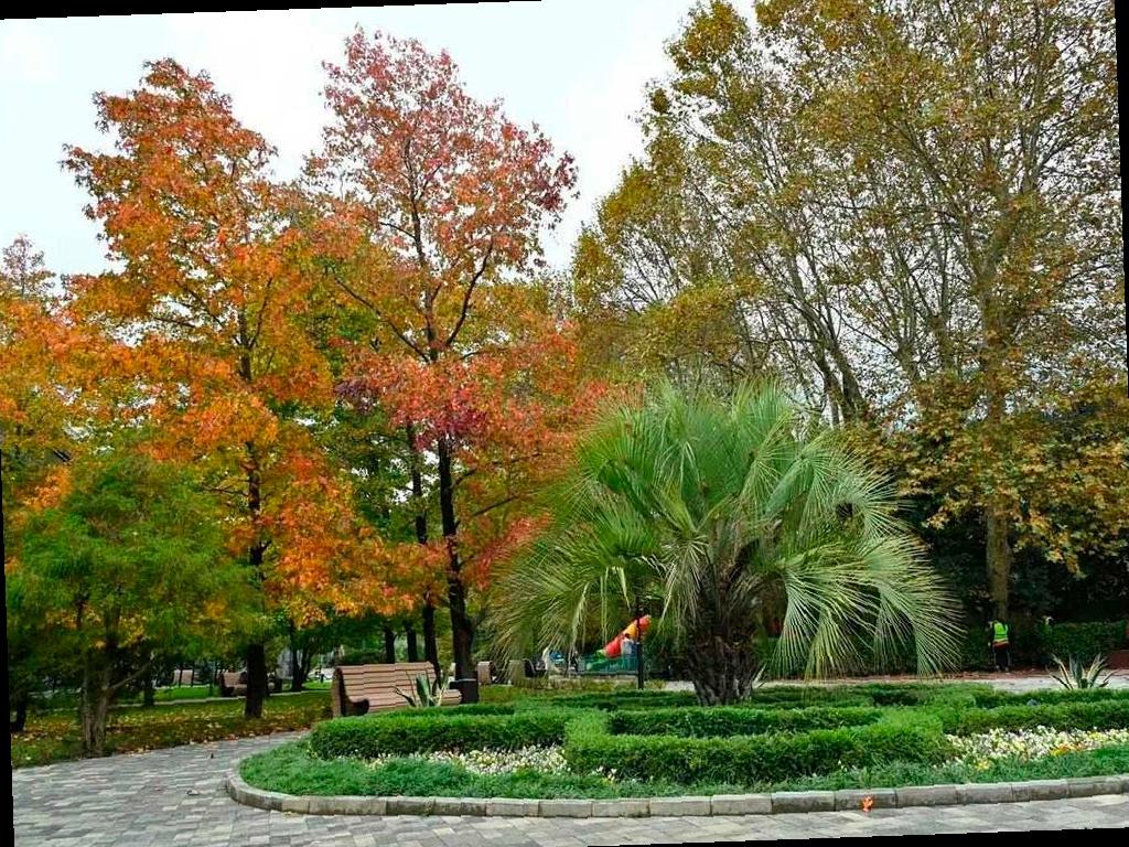 В Хосте открыли обновленный парк к Дню народного единства