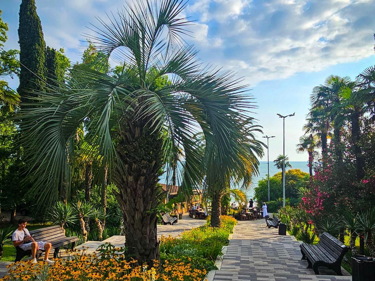 Рост туристов в Сочи: новый рекордный поток ожидается к 2025 году