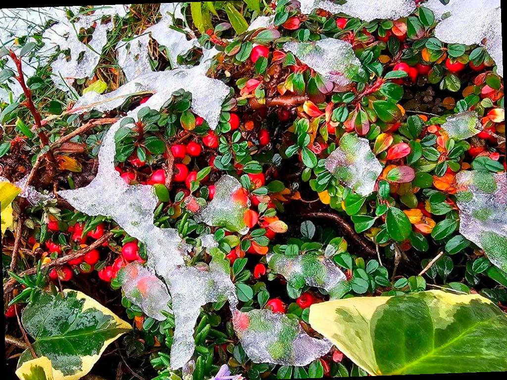 В Сочи продолжается непогода: заморозки и шторм