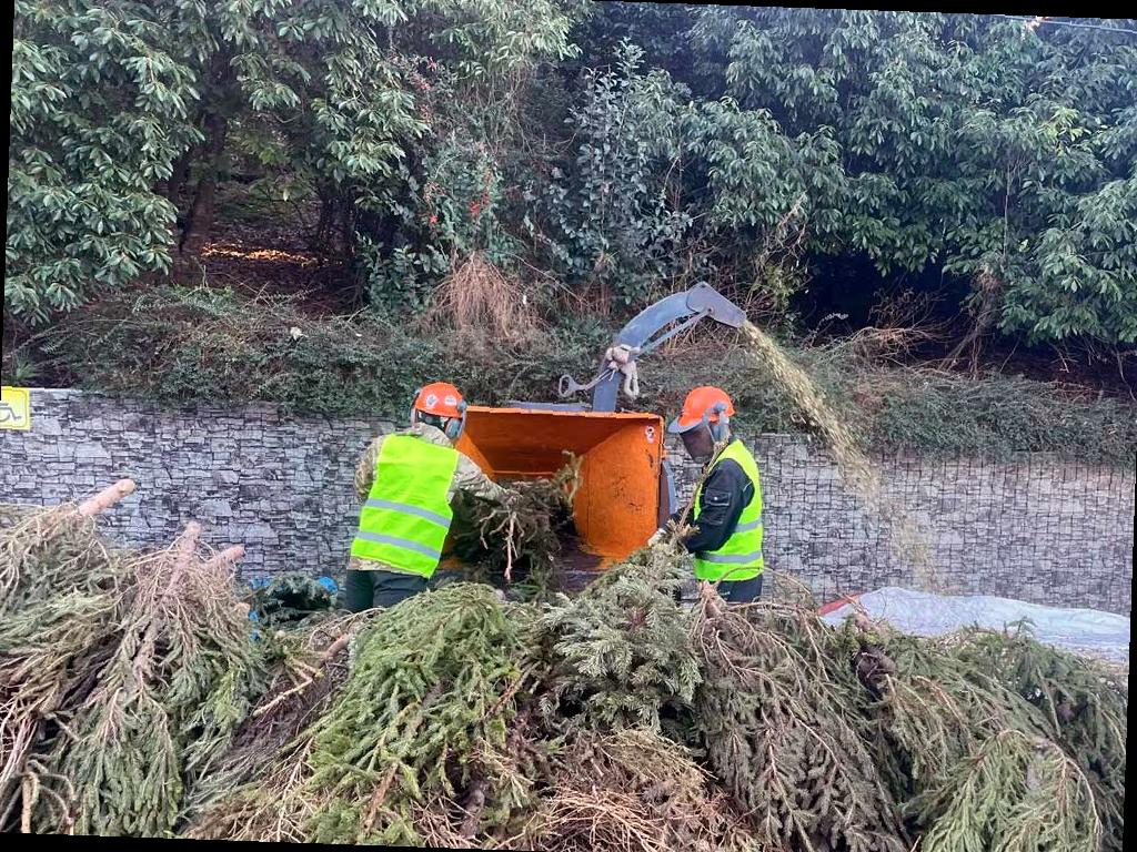В Сочи стартовала акция «Елку в переработку»