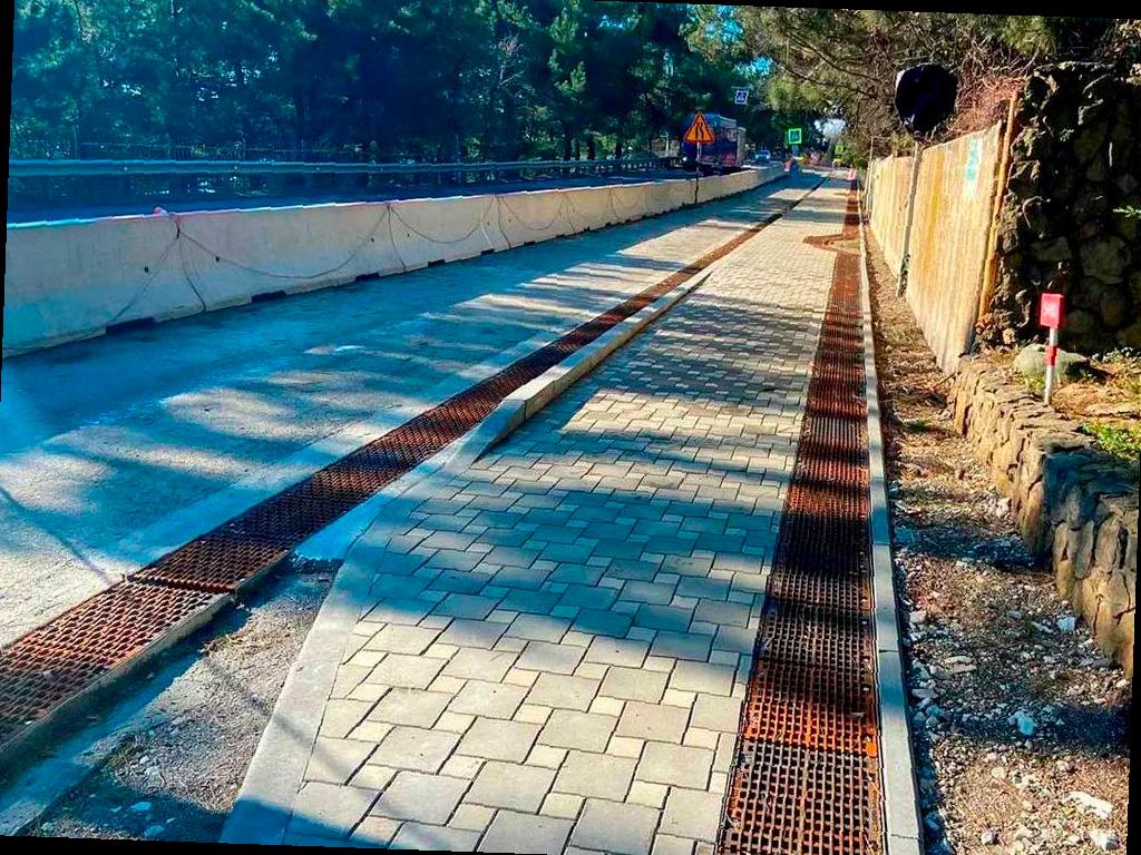 На трассе «Джубга — Сочи» появилось почти три сотни реликтовых деревьев