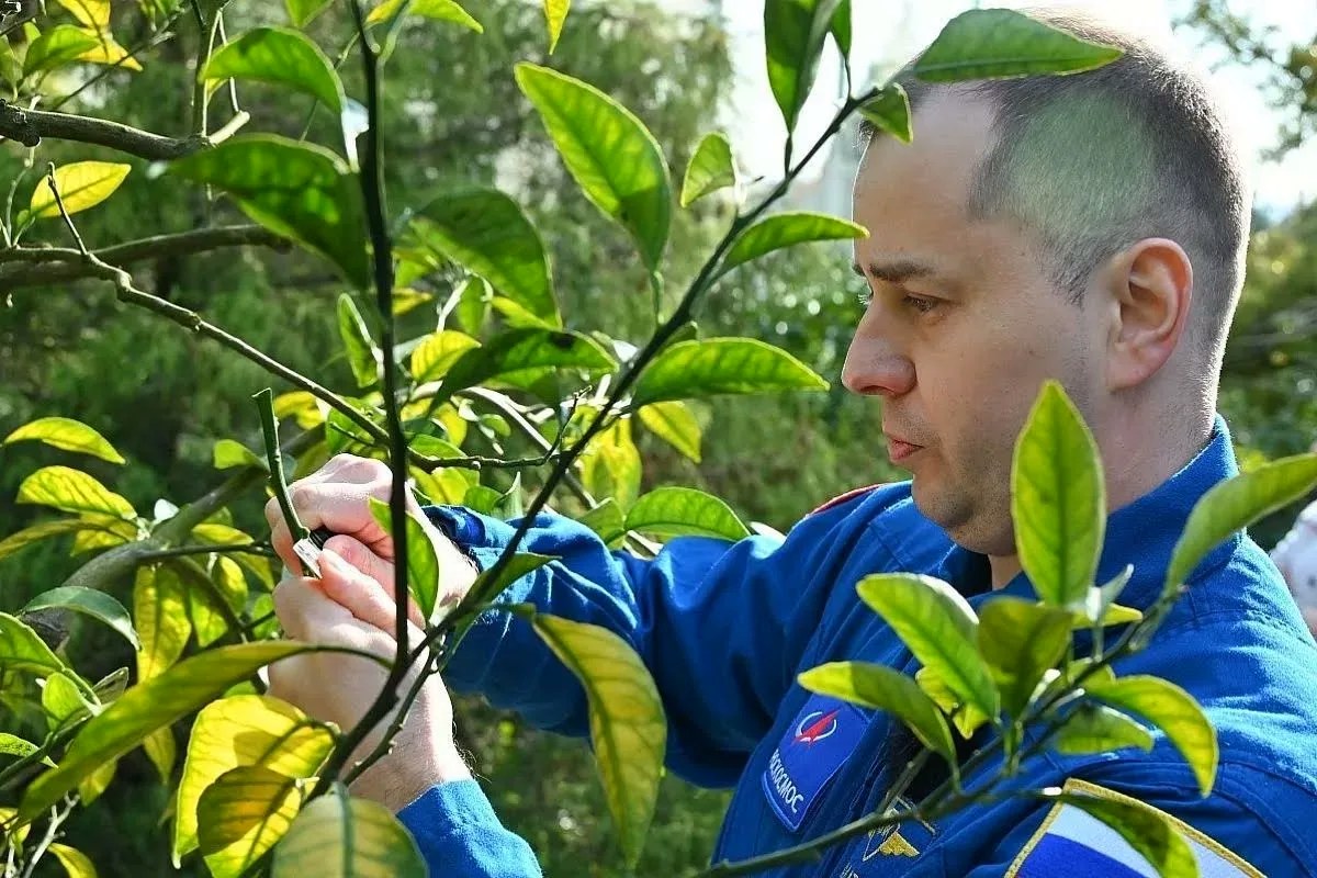 Космонавт Олег Платонов прошёл реабилитацию в Сочи и оставил «след» на