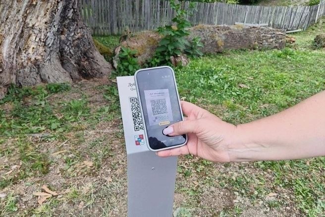 QR-код для 900-летнего иберийского дуба в Сочи