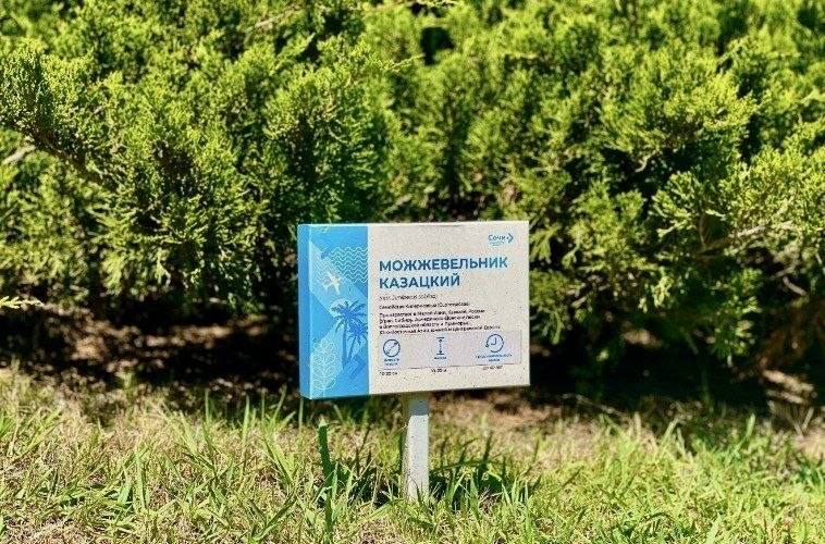 Уникальный тропический сад открыт в аэропорту Сочи